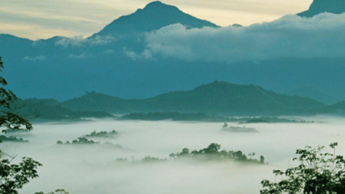 Gunung Bawang