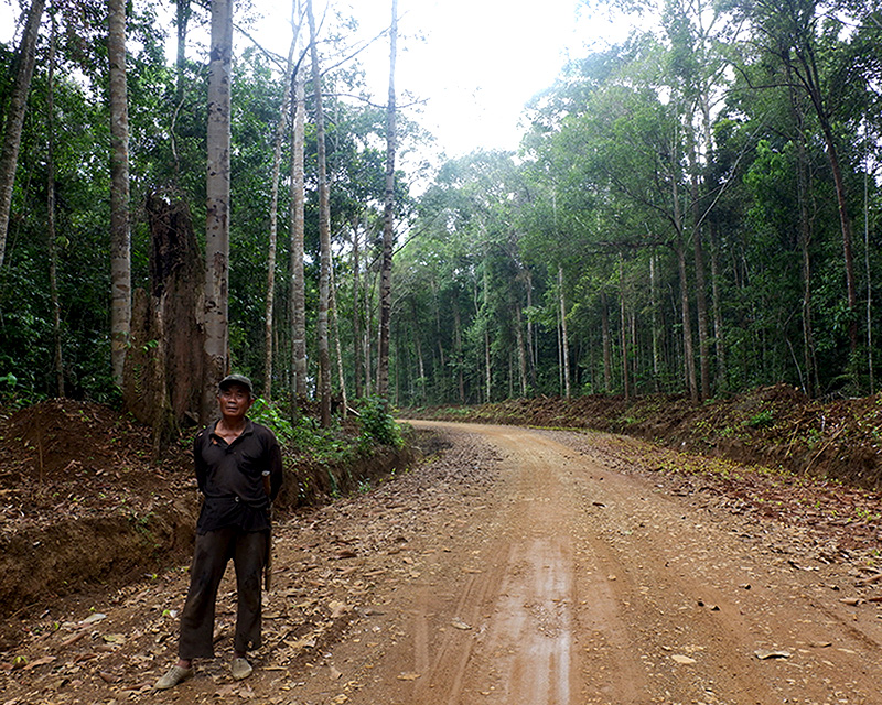 Hutan Bengkayang